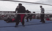 spearing pro wrestling GIF by Brimstone (The Grindhouse Radio, Hound Comics)