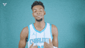 Hive Mentality Brandon Miller GIF by Charlotte Hornets