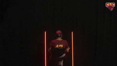 Bsb GIF by CUCougars