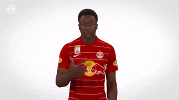 Red Bull Victory GIF by FC Red Bull Salzburg