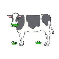 Cow Farm Sticker by ethicame