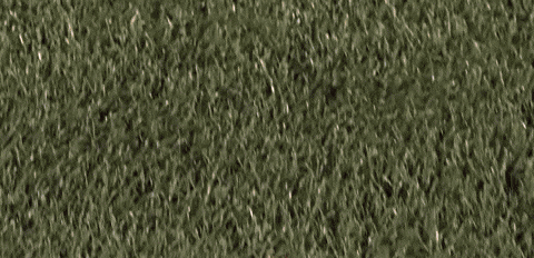 Womens Lacrosse GIF by Lafayette Leopards