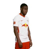 Posing Line Up Sticker by Bundesliga