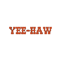 Yee-Haw Sticker by HASC