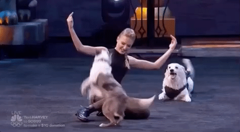 giphyupload nbc agt americas got talent GIF