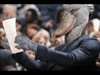 Confused Jimmy Butler GIF