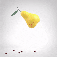 Animation Jumping GIF by Studio AKA