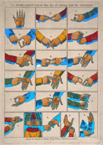 Sign Language GIF by GIF IT UP