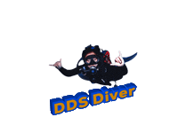 Dds Diver Sticker by DansDiveShop