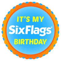Happy Party Sticker by Six Flags