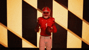 Terps Football GIF by Maryland Terrapins
