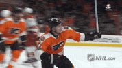 Ice Hockey GIF by NHL