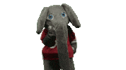 Alabama Football Ua Sticker by The University of Alabama