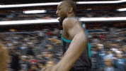 charlotte hornets dance GIF by NBA