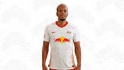 I Am Fine No Problem GIF by RB Leipzig