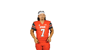 Utah Utes Sticker by Utah Football