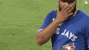 Blue Jays Baseball GIF by Toronto Blue Jays