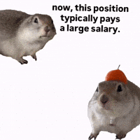 Squirrel Celery GIF