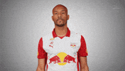 Driving Car GIF by FC Red Bull Salzburg