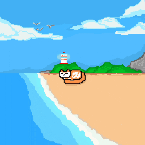 eynmaginaire giphyupload cat ginger ollie GIF