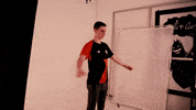 TOGfoxes together bootcamp Ulm weareone GIF