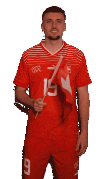 Switzerland Suisse Sticker by Swiss Football Association