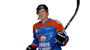 unisflyers goal hockey eagles flyers Sticker
