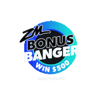 Radio Win Sticker by ZM
