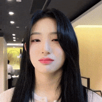 K Pop No GIF