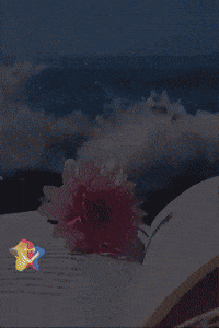 Flores Agua GIF by Murcianys LLC