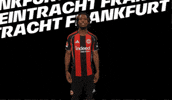 Come On Celebration GIF by Eintracht Frankfurt