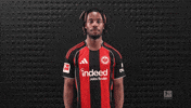 Eintracht Frankfurt Football GIF by Bundesliga