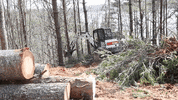Yard Work Heavy Equipment GIF by JC Property Professionals