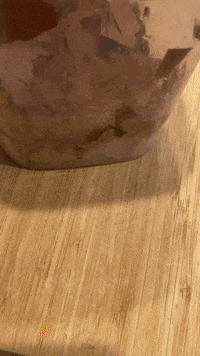 Food Home GIF by Common Ground Compost