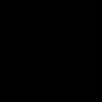 Hockey Tobias GIF by Eisbären Berlin