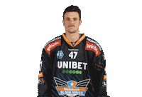 Black Wings Sport Sticker by Valant