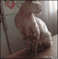 dont touch me GIF