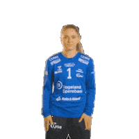 Rema1000Ligaen Sticker by Norsk Topphåndball