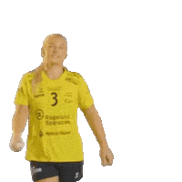 Rema1000Ligaen Sticker by Norsk Topphåndball