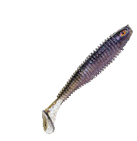 Paddlebait Sticker by Chasebaits