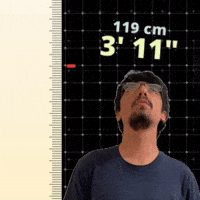3' 11"