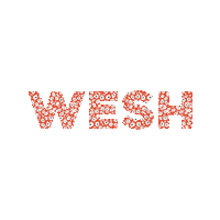 laureen_oldham flower floral fleur wesh Sticker