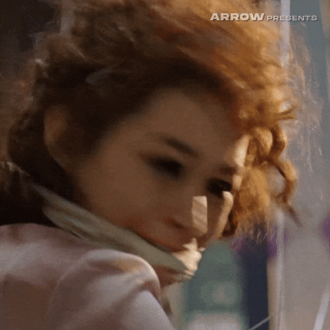 Takashi Miike No GIF by Arrow Video