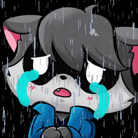 rakunboy02 sad triste mapache rakun GIF