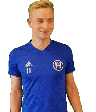 svheek hsv heek svheek Sticker