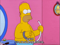 homer simpson GIF