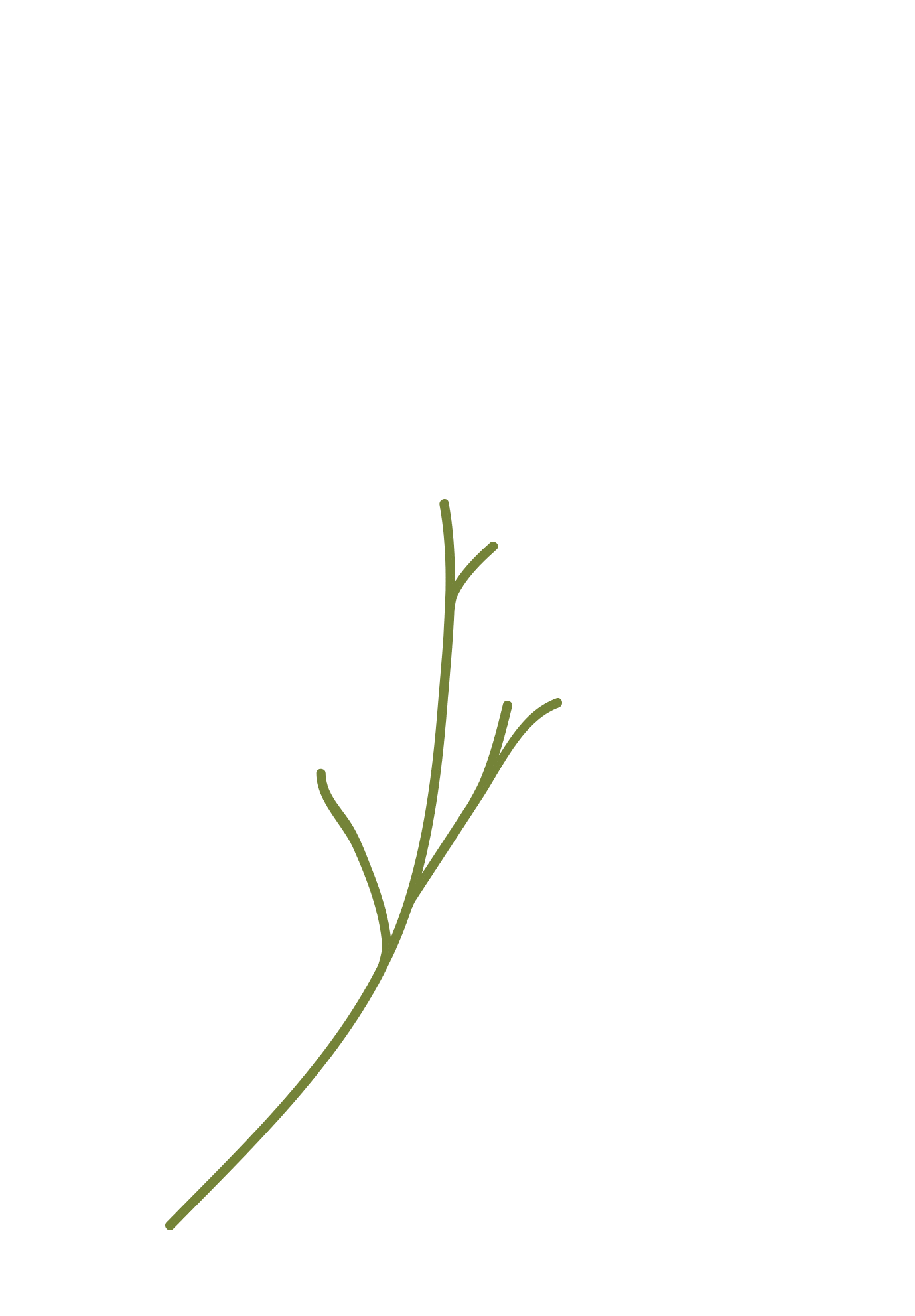 Plant Growing Sticker by Bouclair