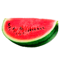 fruit watermelon Sticker by Fertilaqua