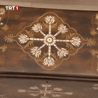 Pattern Chest GIF by TRT