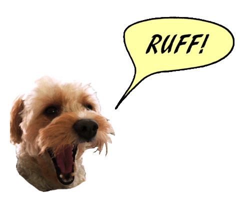 dog Sticker by Chumbuck